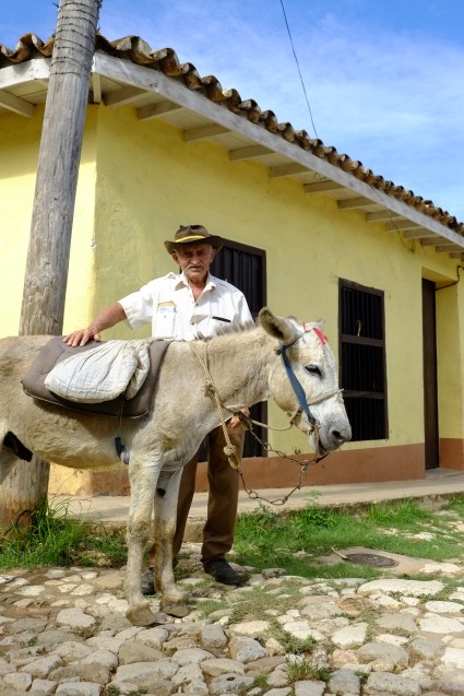 Vieil homme avec un Âne
